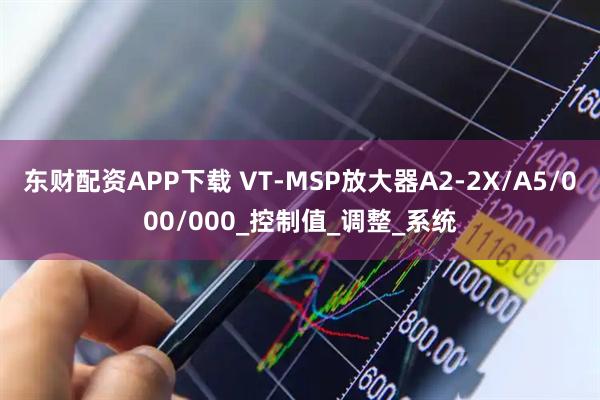 东财配资APP下载 VT-MSP放大器A2-2X/A5/000/000_控制值_调整_系统