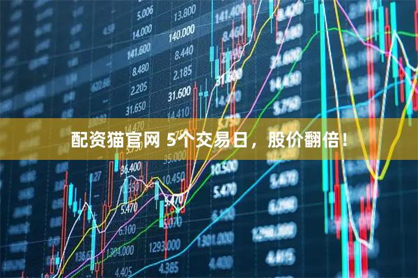配资猫官网 5个交易日，股价翻倍！