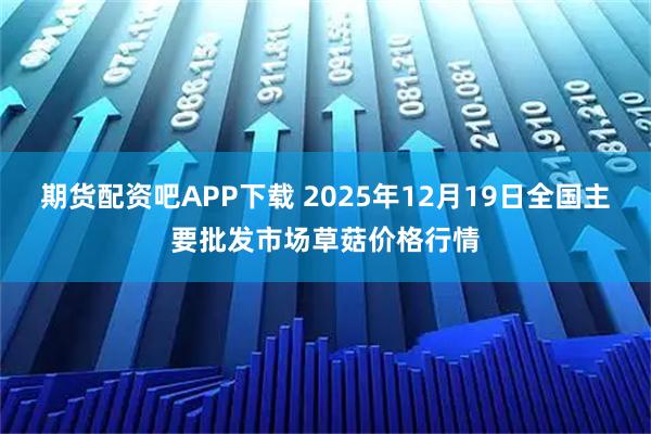 期货配资吧APP下载 2025年12月19日全国主要批发市场草菇价格行情