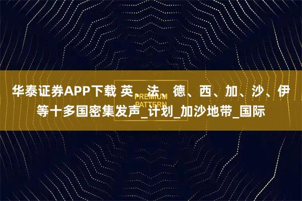 华泰证券APP下载 英、法、德、西、加、沙、伊等十多国密集发声_计划_加沙地带_国际