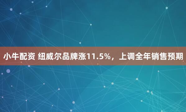 小牛配资 纽威尔品牌涨11.5%，上调全年销售预期